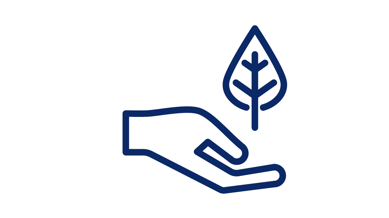 milestones dsv rsc